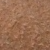 Light Tan Swatch